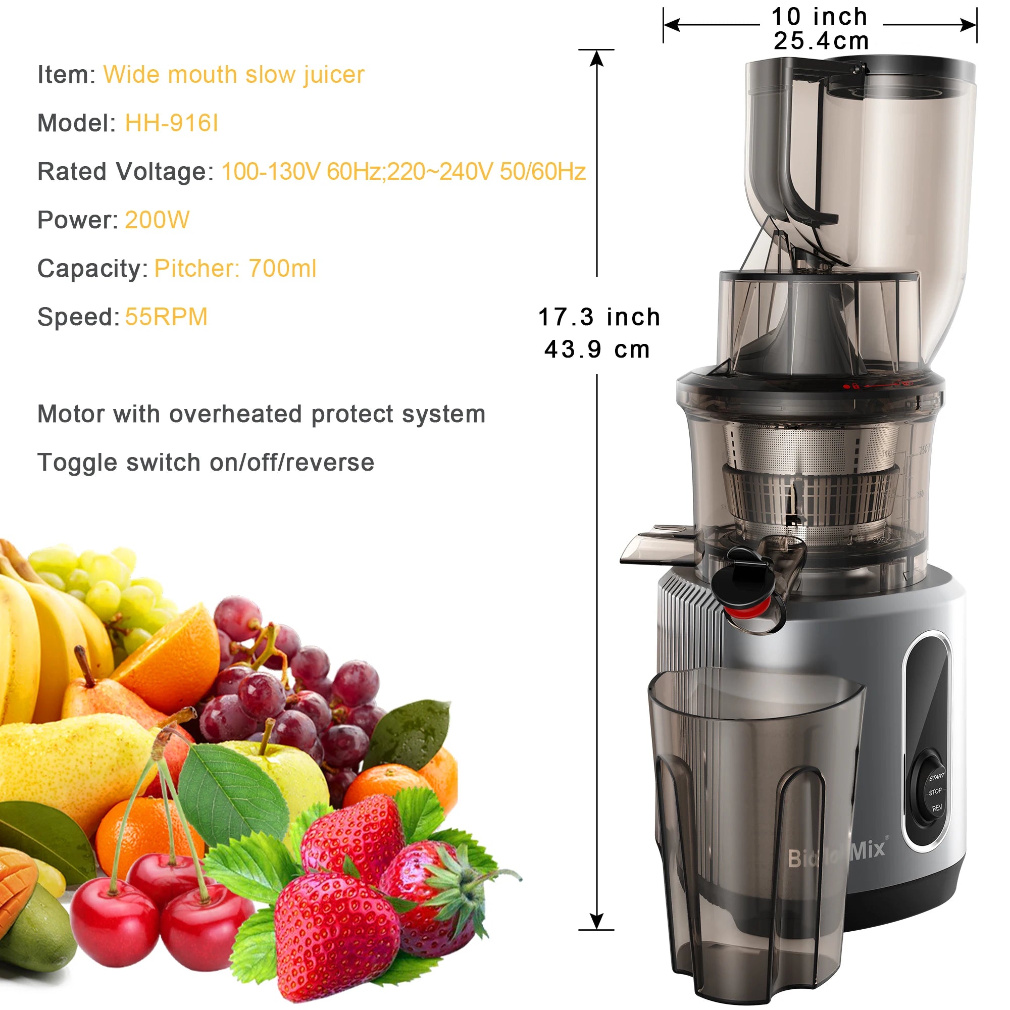 Cold Press Juicer